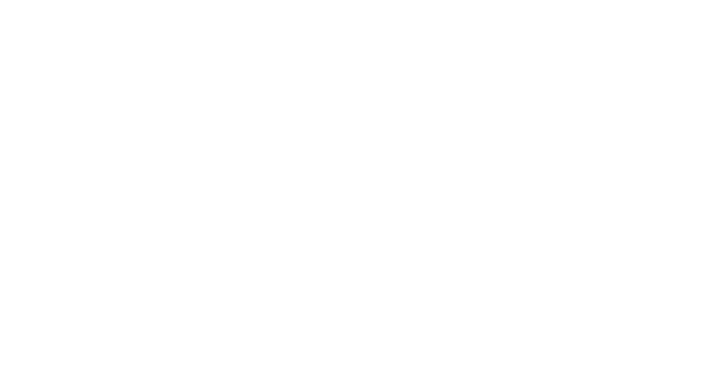 Liora Bioinformatics