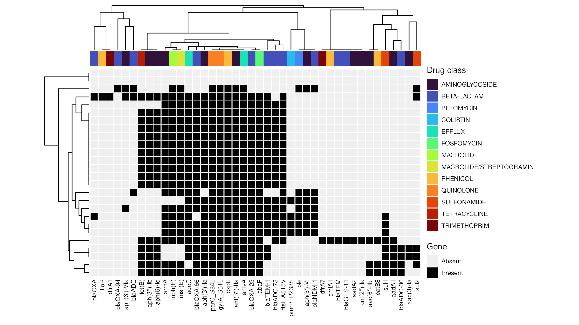 Resistance screening heatmap showing detected resistance genes per isolate