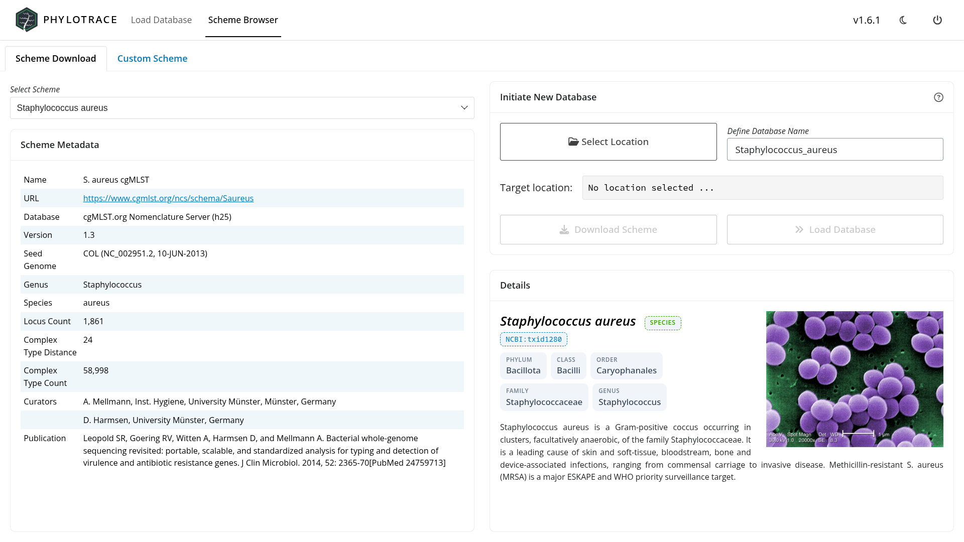 cgMLST and MLST interface screenshot 2