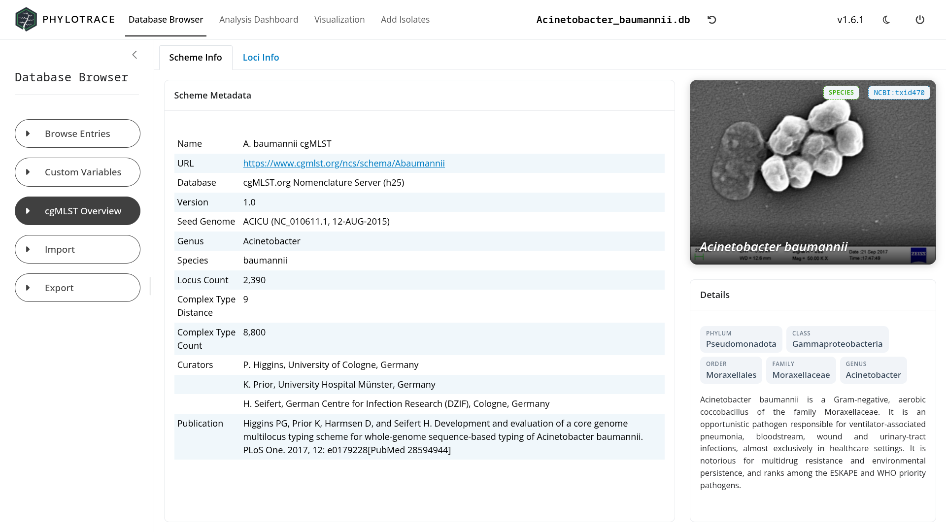 Database management dashboard screenshot 2