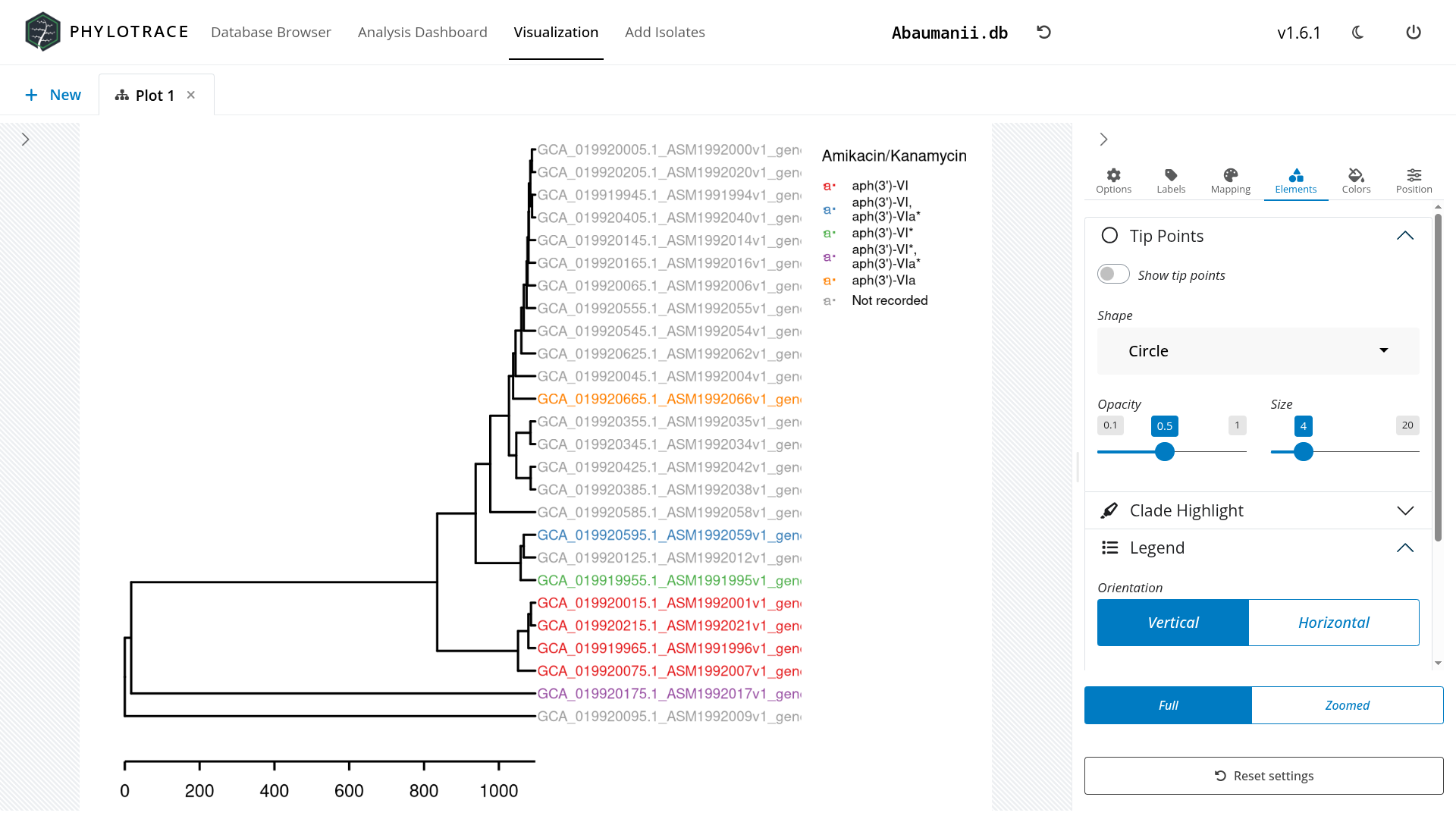Phylogenetic tree and network graph screenshot 2