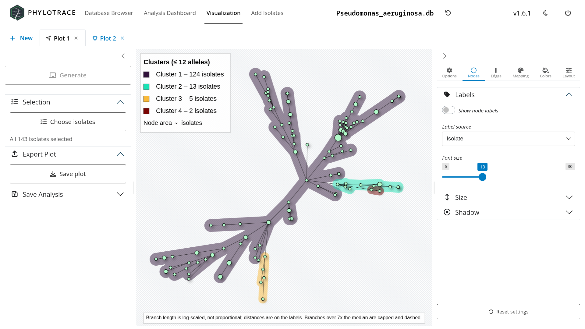 Phylogenetic tree and network graph screenshot 1